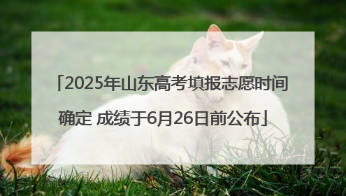 2025年山东高考填报志愿时间确定 成绩于6月26日前公布